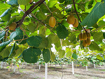 爱游戏手机版基地展示三